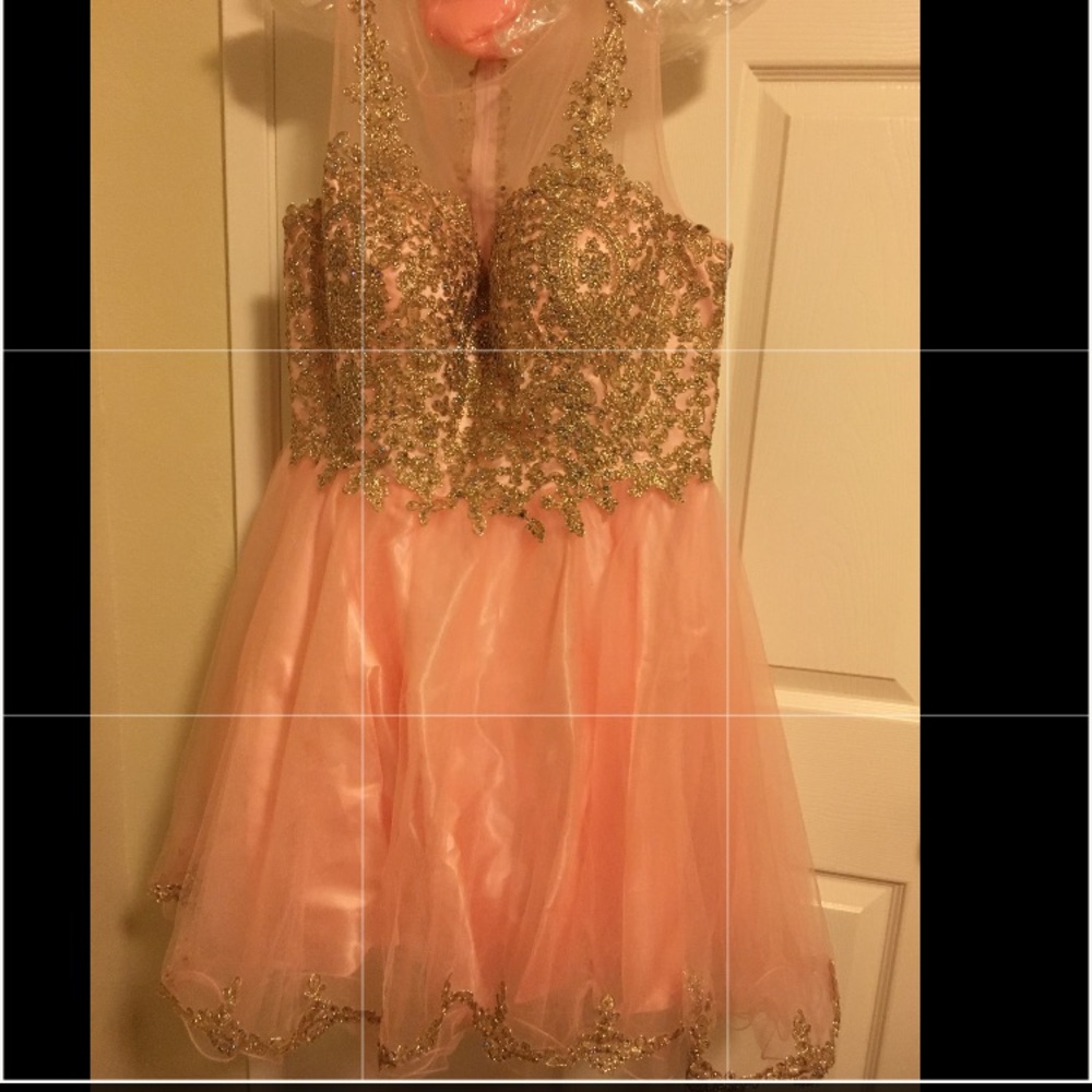 Blush dress